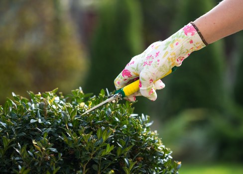 Gardener in Brent Cross working with safety gear in a garden