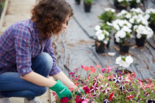 Gardening services in Brent Cross for tidy residential outdoor spaces