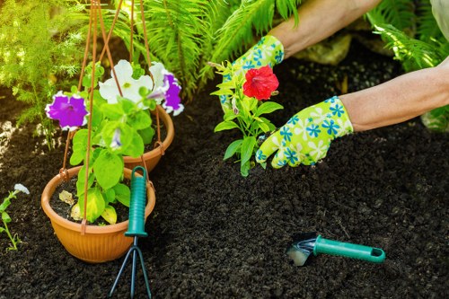 Cookie policy introduction for Gardeners Brent Cross