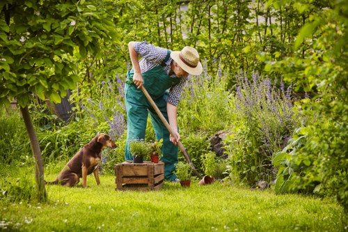 Accessibility-focused garden service information for Brent Cross users