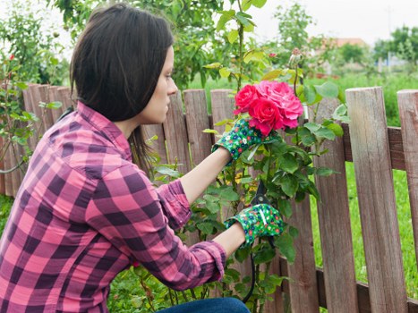 Regular hedge cutting for healthy growth in Brent Cross