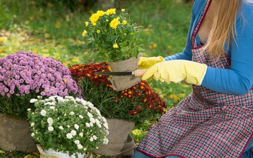 Outdoor patio maintenance and cleaning in Brent Cross