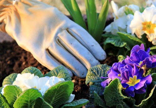 Insured gardening service checking site safety in Brent Cross