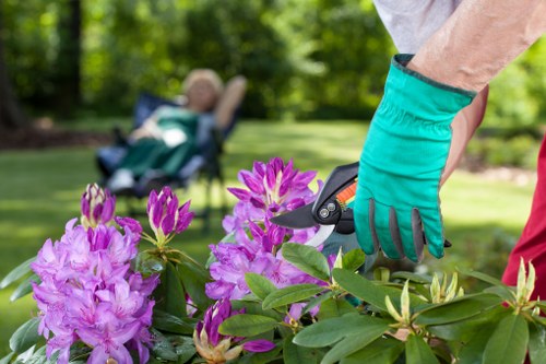 Urban garden maintenance in Brent Cross with shrubs and borders