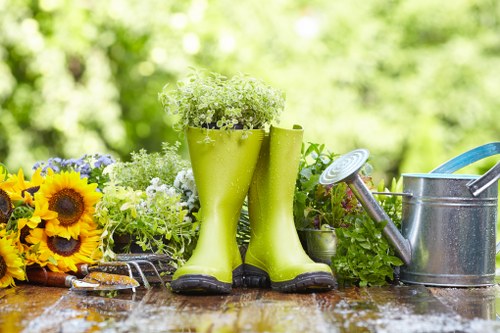 Professional garden clearance in Brent Cross restoring a neglected garden