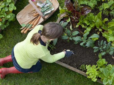 Safety-focused gardener carrying out garden work in Brent Cross