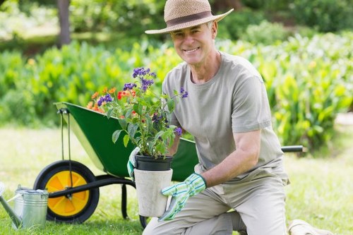 Seasonal lawn care work in Brent Cross garden