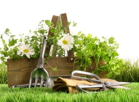 User control over cookie preferences for Gardeners Brent Cross