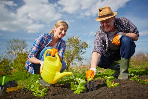 Professional garden renovation work in Brent Cross