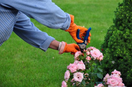 Professional garden services in Brent Cross for seasonal upkeep