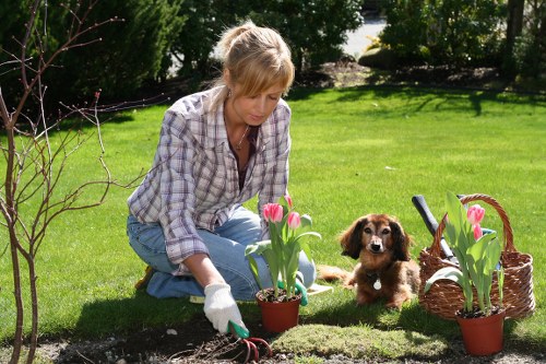 Charity donation of reusable garden items from Brent Cross projects