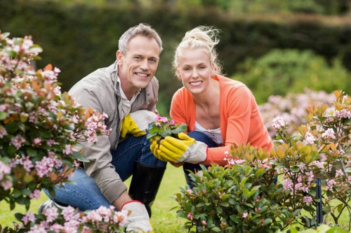 Local Brent Cross gardening maintenance with planting and lawn care