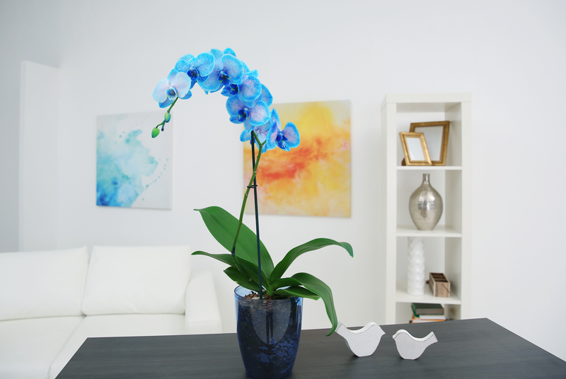 flower borders garden